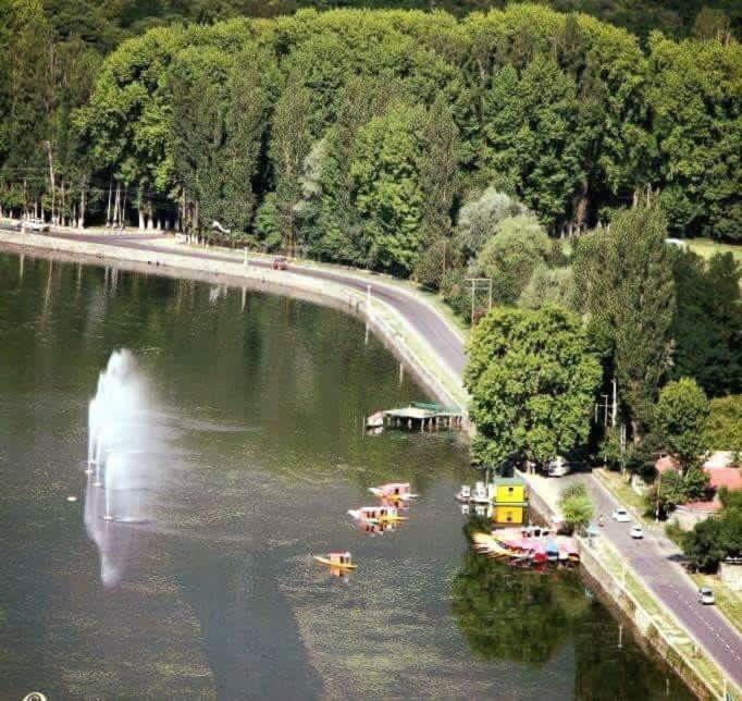 Sidsons Royale Hotel Srinagar  Luaran gambar